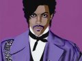 Vakseen - The Purple One